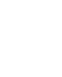 Logo Flutter