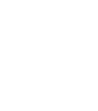 Logo Nginx